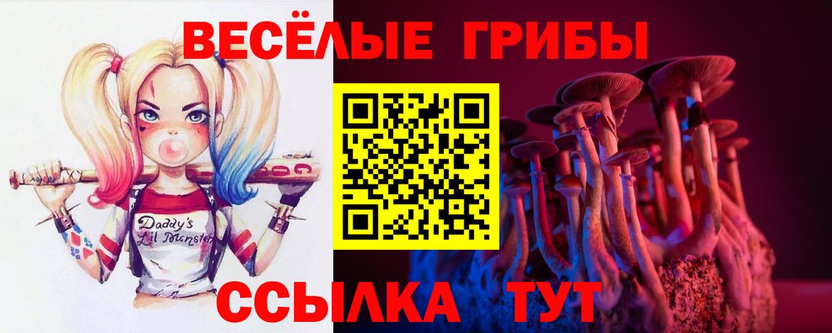 Галлюциногенные грибы Cubensis Грязи
